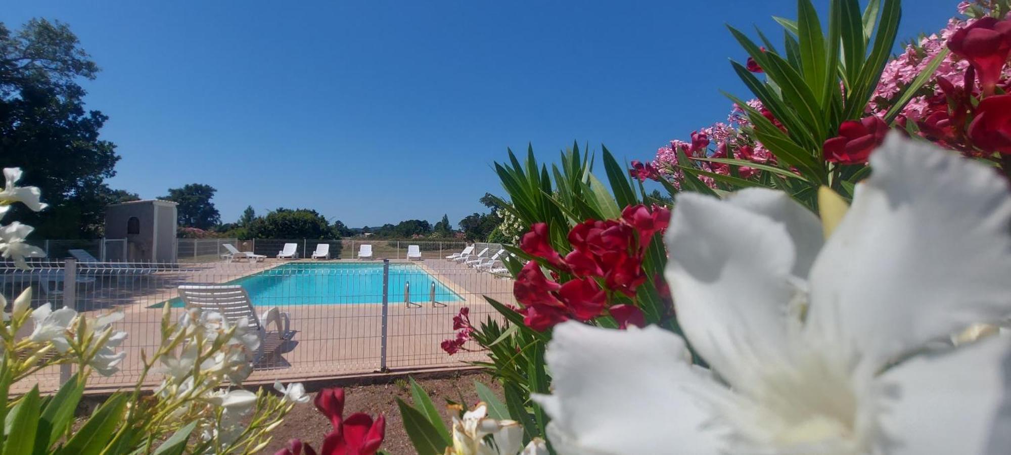Residence Riviera ポルトヴェッキオ エクステリア 写真